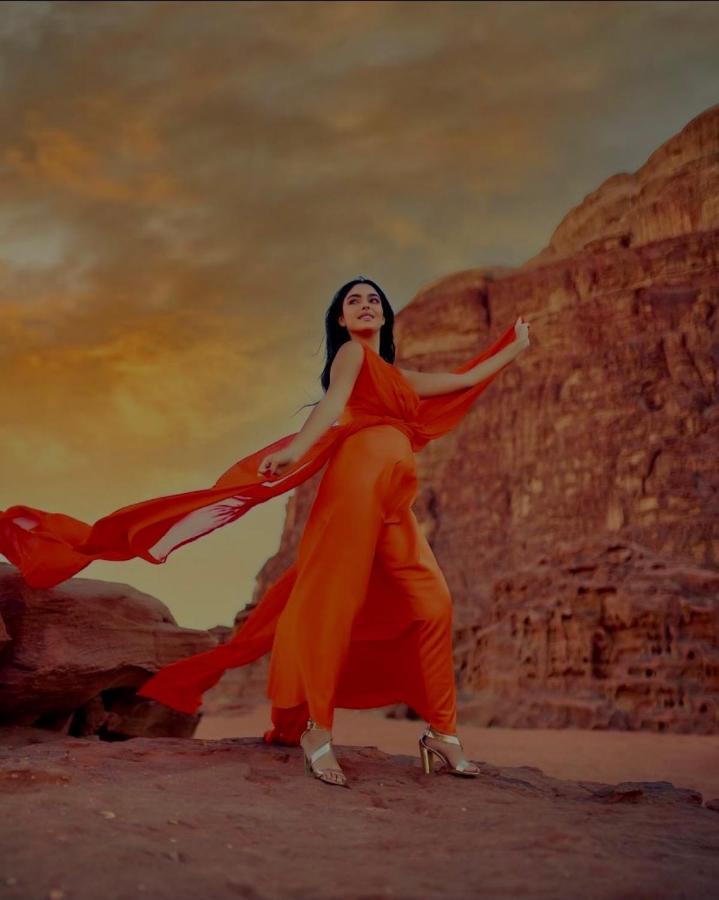 فندق وادي رمفي  Royal Luxury Camp المظهر الخارجي الصورة